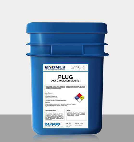 Lost circulation material PLUG